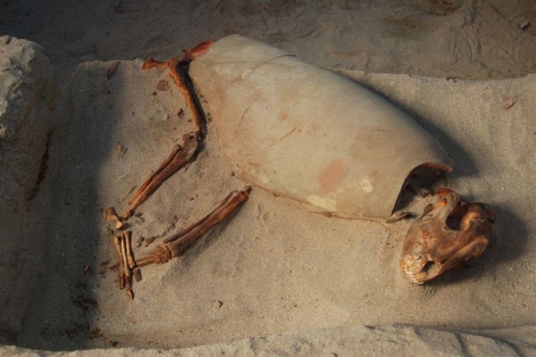 Необычные 2000-летние захоронения обнаружены в Египте