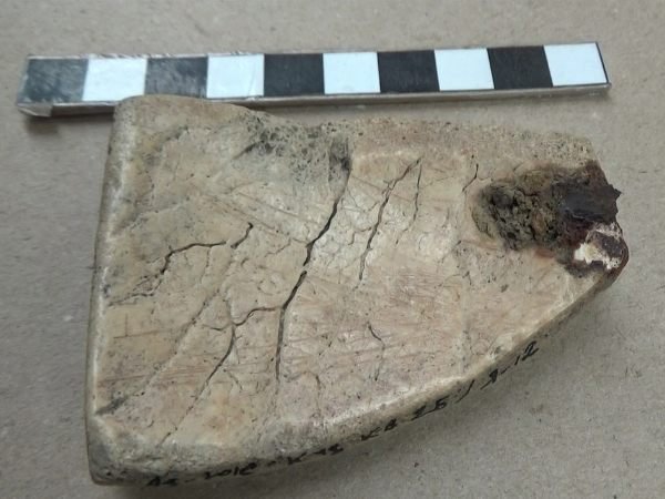 Древний амулет из человеческого черепа нашли в Ростовской области