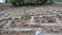 Каменный лабиринт Dharampuri 