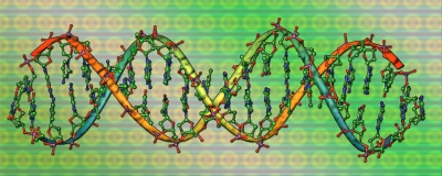 Неповторимая ДНК. Генетический паспорт человека