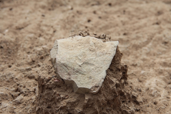 В Кении найдены древнейшие орудия труда возрастом 3,3 млн лет