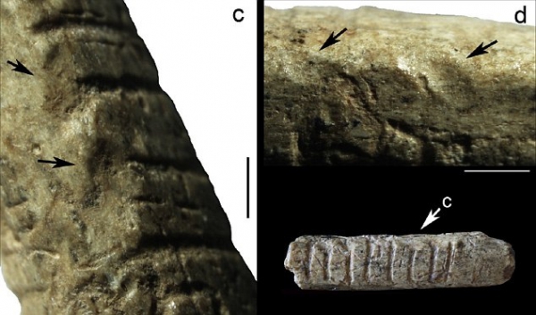 Археологи обнаружили в Китае костяной гарпун, которому 35 тысяч лет