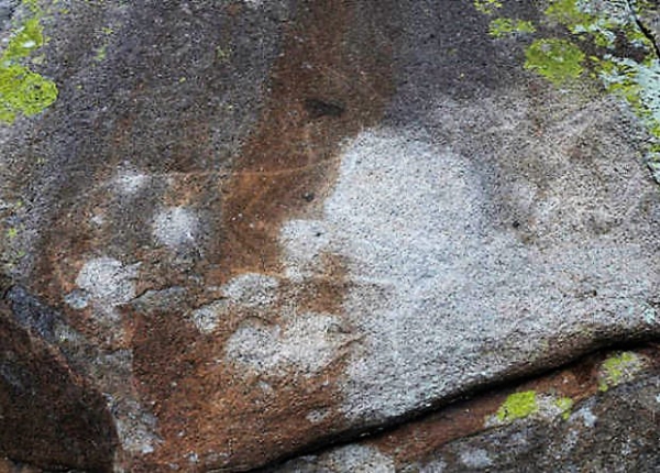 На Алтае найден крупный петроглиф