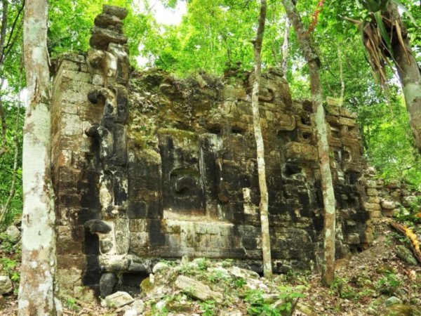 Обнаружены скрытые веками города цивилизации майя