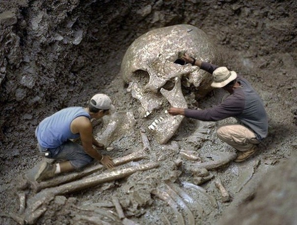 Гигантские скелеты, найденные в Эквадоре, отправлены на экспертизу