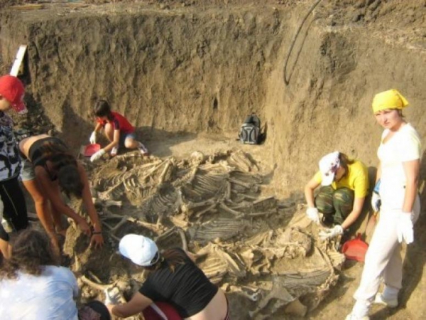 Под Краснодаром возобновились раскопки древних курганов