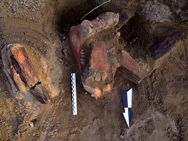 В Бурятии археологи нашли женщину гуннов с признаками хирургической трепанации черепа