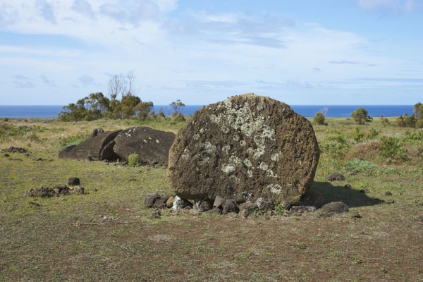 Артефакты возрастом 3800 лет: в Новой Гвинее раскопали уникальные мегалитические статуи
