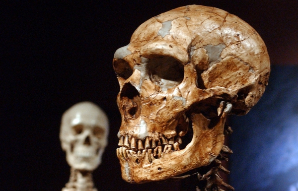Чем неандертальцы отличаются от современных людей