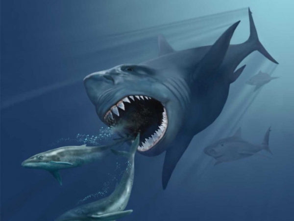 Зубы древних акул и мифология майя