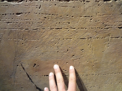 Петроглифы Коа (Site Arqueológico Vale do Côa Petroglyphs)