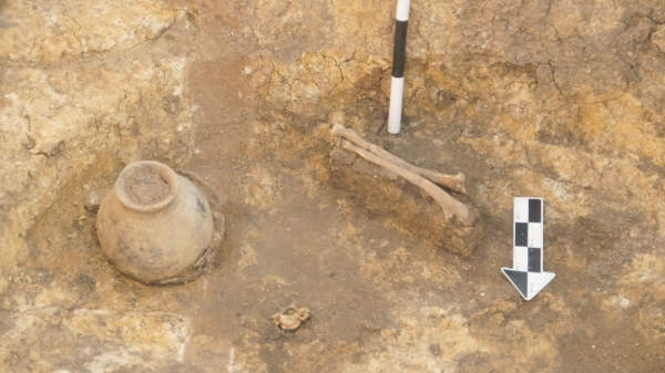 ​Синташта – 2016: археологи возвращаются к легенде