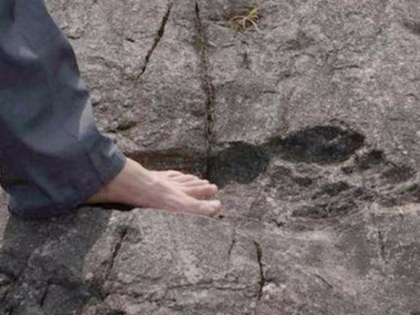 В Китае археологи наткнулись на следы 4-метровых великанов 