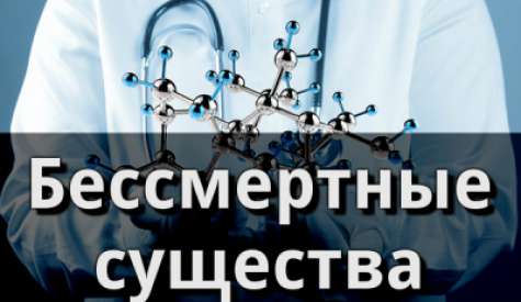 Бессмертные существа, Пётр Гаряев