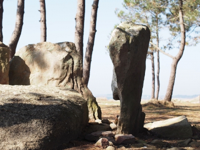 Дольмен Эр Уэль (Dolmen d&#039;Er Houel) 