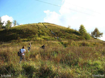 Каменное городище (Большая Гомольша)