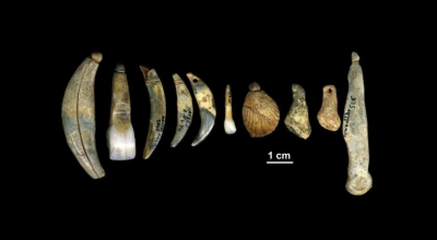 Неандертальцы делали и носили украшения