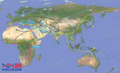 История народов «в пространстве и во времени» с точки зрения современной генетики