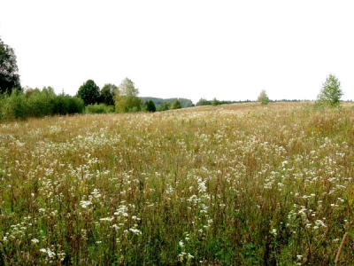 ШВЕЙЦАРСКИЕ КУРГАНЫ