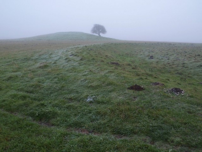 Курган Буш (Bush Barrow)