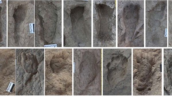Ученые выяснили, как ходили первые люди на Земле