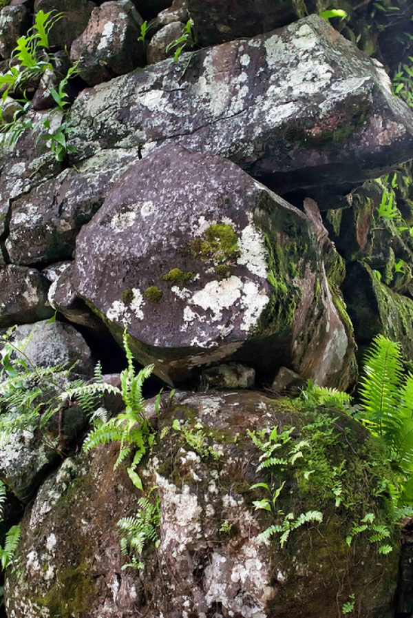 Руины Лелу (Kosrae ruins)