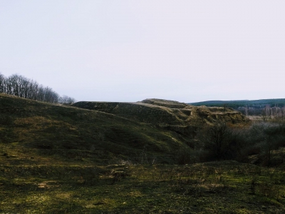 Городище в селе Заречье