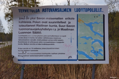 Петроглифы Астувансалми