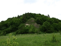 Ош-Пандо-Нерь (Сайнинское городище)