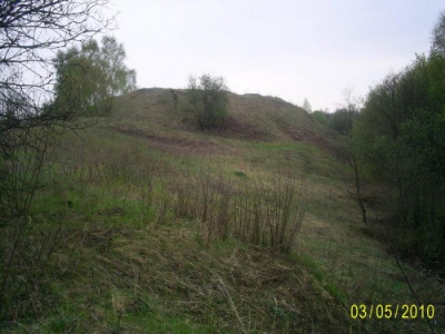 Щербинское (Конопелковское) городище
