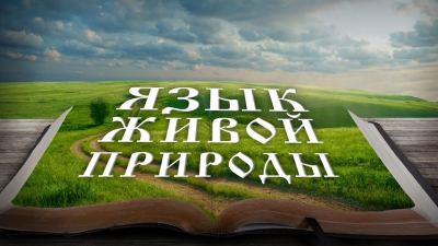 Язык живой природы. Андрей Кинсбурский