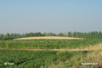 Джанхасан (Can Hasan)
