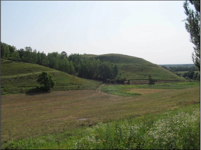 Горналь (Большое Горнальское городище)
