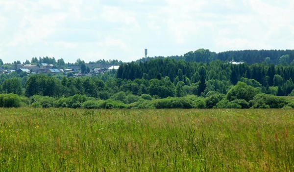 Кривоборское городище