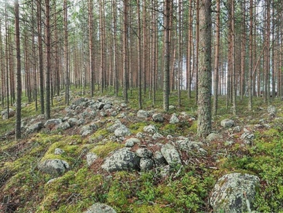 Мегалитический памятник Лиексанйоки