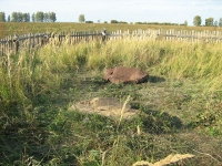 Камни лета (Йәй ташы, камни Бабай и Абий)