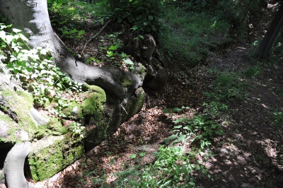 Лункань-Пьятра Рошие (Piatra Roșie Dacian fortress)