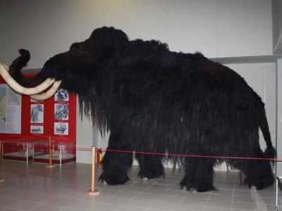 Костёнки