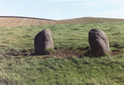 Менгиры Milton Hill