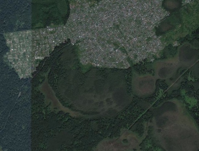Курлакское городище