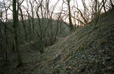  Коробовы хутора (Короповское городище)