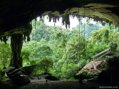 Петроглифы Пещеры Ниах (Gua Niah)