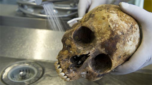 В Уфе пройдет выставка древних черепов