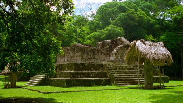 Расцвет и закат майя: город Сейбаль