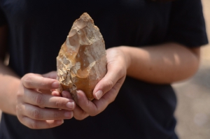 В Израиле нашли крупную стоянку Homo erectus / Фото: www.timesofisrael.com