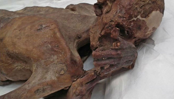 На египетских мумиях найдены древнейшие татуировки с изображением рогатых животных