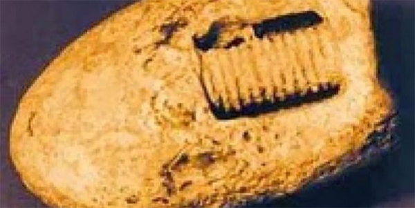 Исследователи ломают голову над загадкой железного болта возрастом 300 миллионов лет