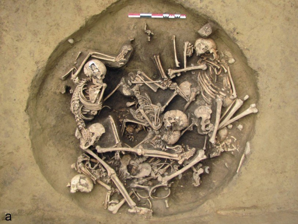 Круг смерти: во Франции найдены останки жертв 6000-летней давности