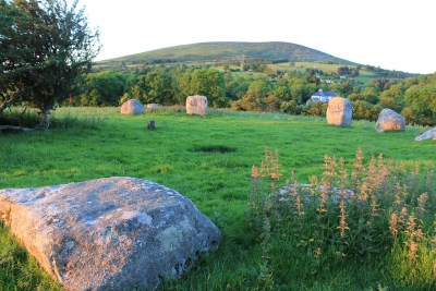 Пайперские камни (Piper&#039;s Stones / Athgreaney Stone Circle)