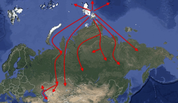 Следы мирового потопа в России